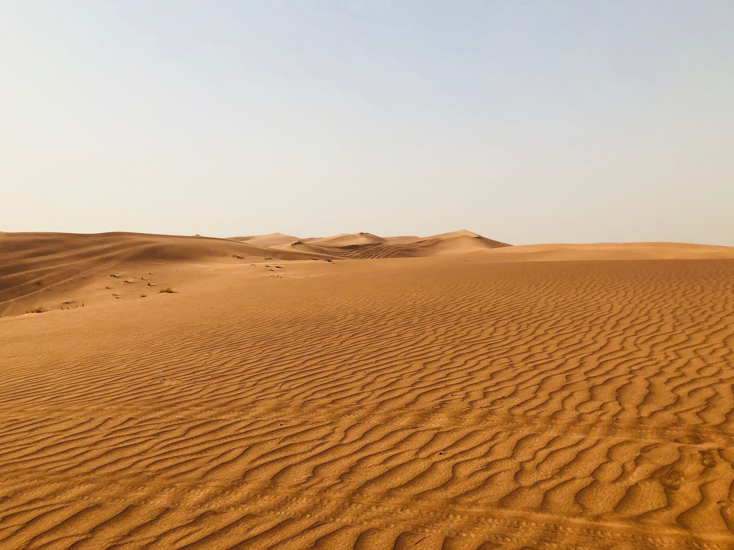 Sharjah Desert